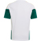 adidas FIGC Italien Tiro Trainingstrikot 2026 Kinder JZ9392 - white 128