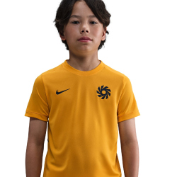 NIKE Erling Haaland Dri-FIT Academy 25 kurzarm...