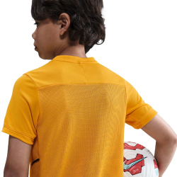 NIKE Erling Haaland Dri-FIT Academy 25 kurzarm...