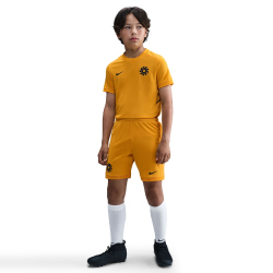 NIKE Erling Haaland Dri-FIT Academy 25 kurzarm...