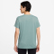 NIKE Dri-FIT T-Shirt Damen 017 - cannon XS