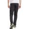 adidas TERREX Xperior Wanderhose Herren