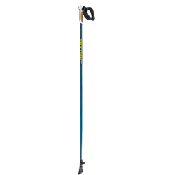 WITEBLAZE Nordic Carbon Walkingstock