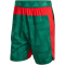 adidas Tech Intensity Allover Print Trainingsshorts Herren KE2407 - team dark green/better scarlet/print M/7"