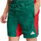 adidas Tech Intensity Allover Print Trainingsshorts Herren KE2407 - team dark green/better scarlet/print M/7"