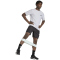 adidas Workout Essentials Flex Trainingsshirt Herren KD2868 - halo silver mel S