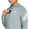 adidas Adi365 Iconic Laufjacke Damen KQ8073 - wonder sage XS