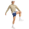 adidas Adi365 Iconic Formotion Laufjacke Herren JZ7718 - wonder cargo S