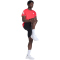 adidas Adi365 Running Climacool Iconic Laufshirt Herren JZ7701 - pure ruby 4XL