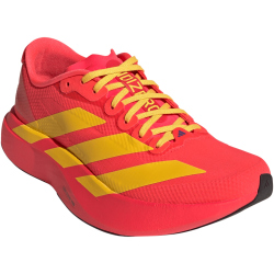 adidas Adizero Evo SL Laufschuhe Damen JQ4410 - lucid red/bold gold/semi lucid blue 37 1/3