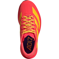 adidas Adizero Evo SL Laufschuhe Damen JQ4410 - lucid red/bold gold/semi lucid blue 37 1/3