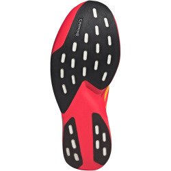adidas Adizero Evo SL Laufschuhe Herren JQ4442 - lucid red/bold gold/semi lucid blue 43 1/3