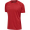 hummel Authentic Pro Trikot kurzarm chili pepper S