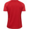hummel Authentic Pro Trikot kurzarm chili pepper S