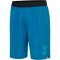hummel Authentic Pro Woven Shorts celestial S