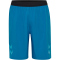 hummel Authentic Pro Woven Shorts celestial S