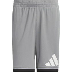 adidas Badge of Sport Basketballshorts Herren JN4730 - grey three/black L/9"