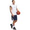 adidas Legends 3-Streifen Basketballshorts Herren JN4737 - team navy blue 2/white M/9"
