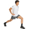 adidas Adi365 Running Formotion Iconic Laufshorts Herren KD3854 - grey six S/5"