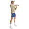 adidas Adi365 Running Formotion Iconic Laufshorts Herren JZ7706 - tech indigo S/5"