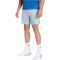 adidas Tech Apparel Climacool Trainingsshorts Herren KF3375 - wonder sage/wonder alumina/reflective silver S/7"