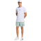 adidas D4T Workout 2in1 Trainingsshorts Herren KF6430 - wonder sage XL