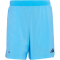 adidas Tech Essentials Workout 2in1 Trainingsshorts Herren KE9635 - lucid aquamarine XL