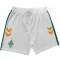 hummel SV Werder Bremen Share Legend Fan-Shorts 2024/25