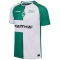 hummel SV Werder Bremen Share Legend Fan-Trikot 2024/25 Kinder