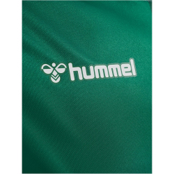 hummel SV Werder Bremen "Diego 10" Share Legend Fan-Trikot