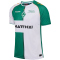 hummel SV Werder Bremen "Diego 10" Share Legend Fan-Trikot