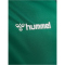 hummel SV Werder Bremen "Diego 10" Share Legend Fan-Trikot