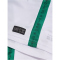 hummel SV Werder Bremen Share Legend Fan-Trikot 2024/25 Kinder 6249 - bosphorous 116