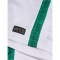 hummel SV Werder Bremen "Diego 10" Share Legend Fan-Trikot 6249 - bosphorous XS