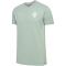 hummel SV Werder Bremen Travel Poloshirt 2024/25 6117 - silt green S