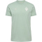 hummel SV Werder Bremen Travel T-Shirt 2024/25 6117 - silt green S