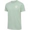 hummel SV Werder Bremen Travel T-Shirt 2024/25 6117 - silt green M