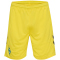 hummel SV Werder Bremen Torwartshorts 2024/25 5347 - blazing yellow wo star S