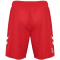 hummel SV Werder Bremen Torwartshorts 2024/25 3062 - true red S