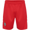 hummel SV Werder Bremen Torwartshorts 2024/25 3062 - true red S