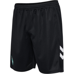 hummel SV Werder Bremen Torwartshorts 2024/25 2303 -...
