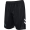 hummel SV Werder Bremen Torwartshorts 2024/25 2303 - black wo star L