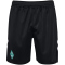 hummel SV Werder Bremen Torwartshorts 2024/25 2303 - black wo star L