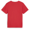 PUMA individualRISE Graphic Trikot Jungen