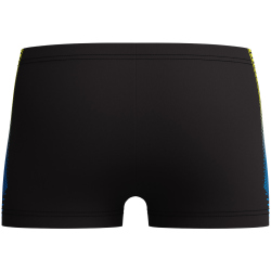 Speedo Panel Badeshorts Jungen