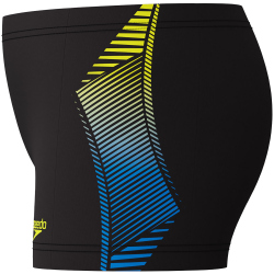 Speedo Panel Badeshorts Jungen