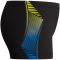 Speedo Panel Badeshorts Jungen