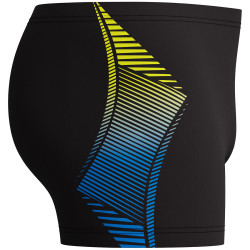 Speedo Panel Badeshorts Herren
