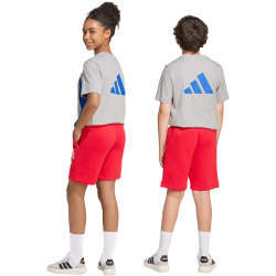 adidas Seasonals Collegiate Typography Sweatshorts Kinder