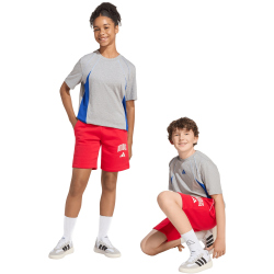 adidas Seasonals Collegiate Typography Sweatshorts Kinder